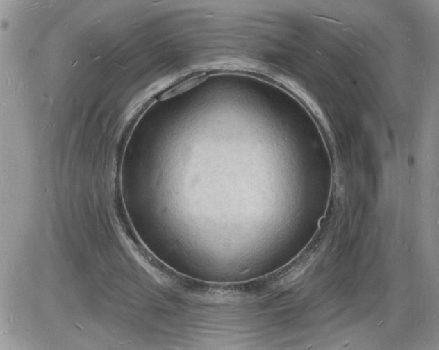 X0000085280437200703231811