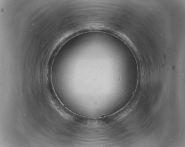 X0000085280439200703231811