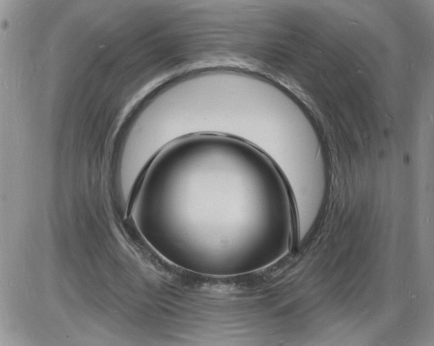 X0000085280440200703231811