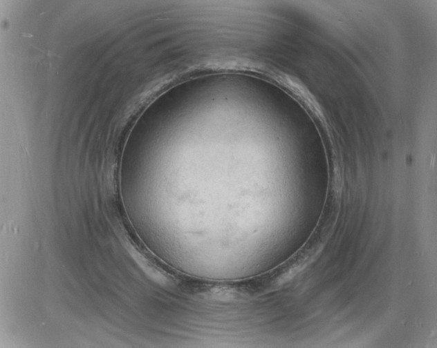 X0000085280441200703231811