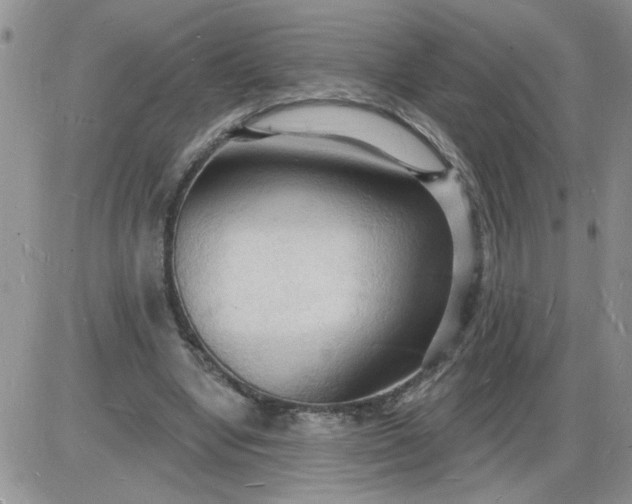 X0000085280442200703231811