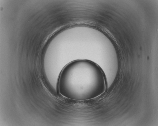 X0000085280444200703231811