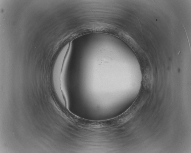 X0000085280454200703231811