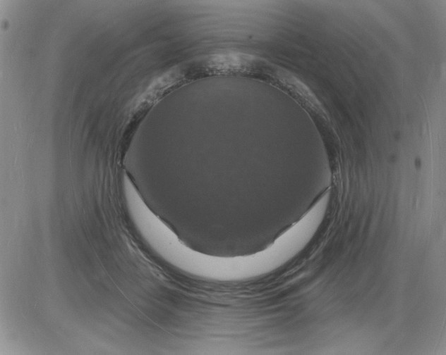 X0000085280458200703231811