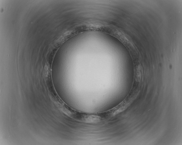 X0000085280463200703231811