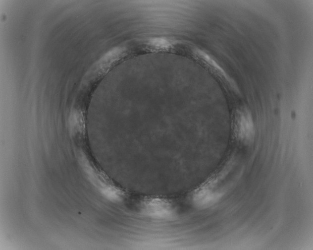 X0000085280467200703231812