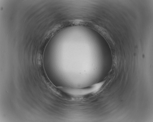 X0000085280470200703231812
