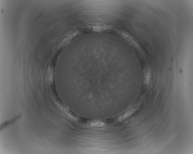 X0000085280471200703231812