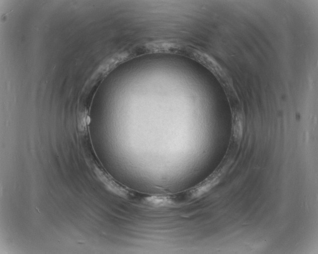 X0000085280477200703231812