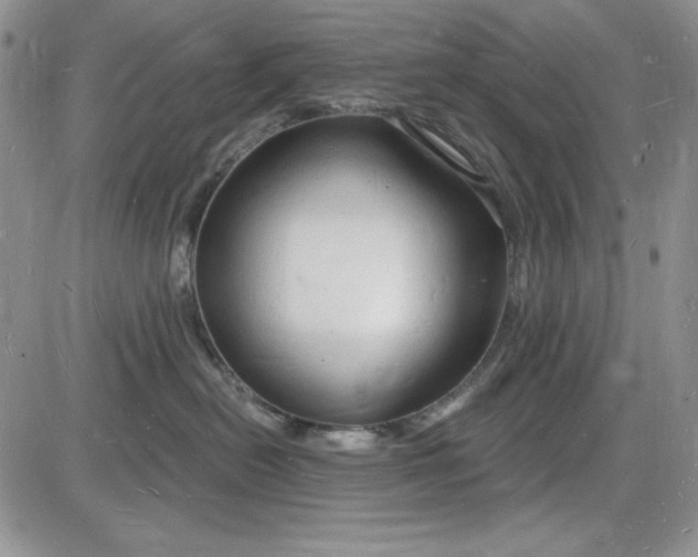 X0000085280478200703231812