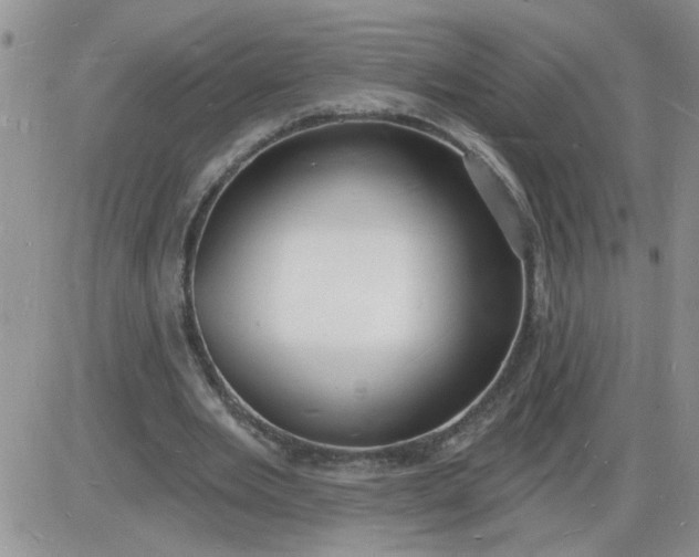X0000085280485200703231811