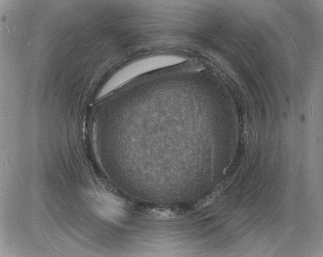 X0000085280502200703231811