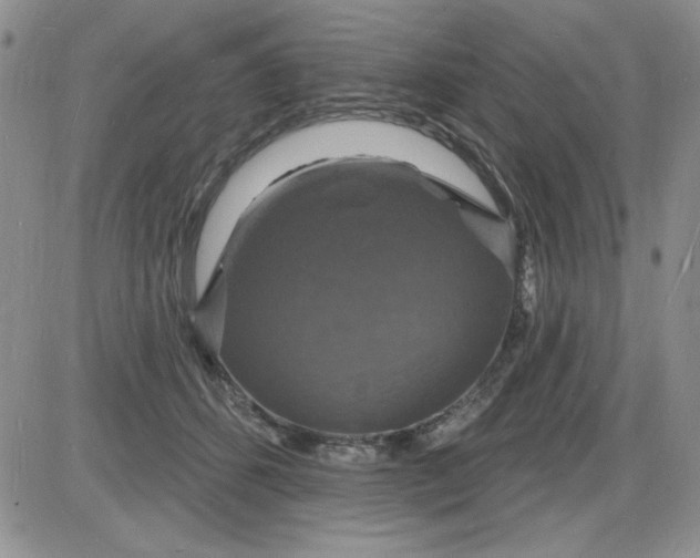 X0000085280512200703231810