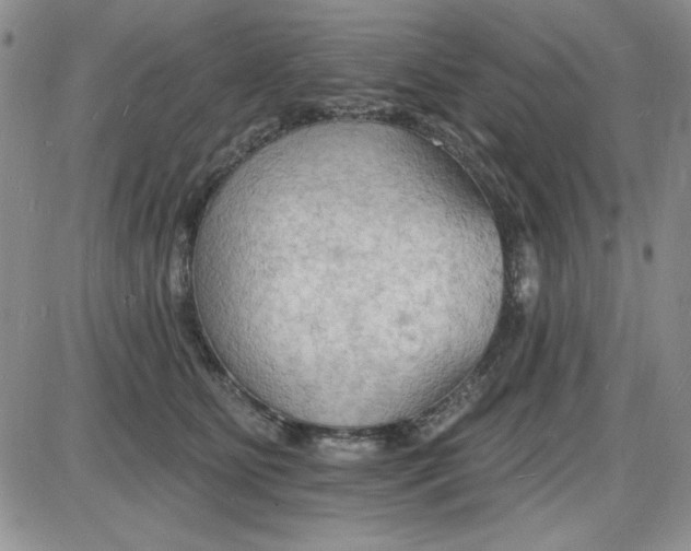 X0000085280515200703231810