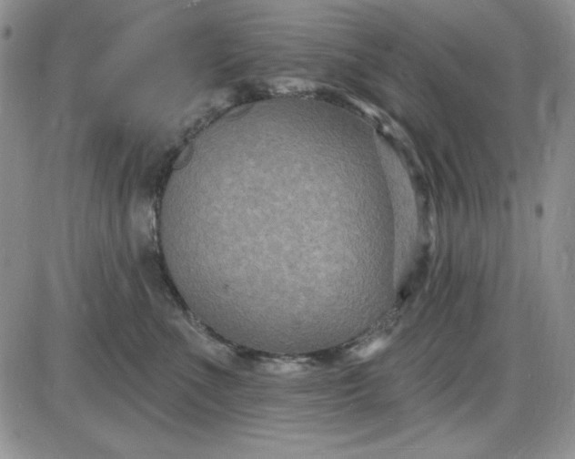 X0000085280523200703231810