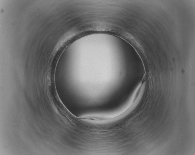 X0000085280536200703231809