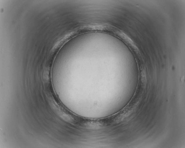X0000085280537200703231809