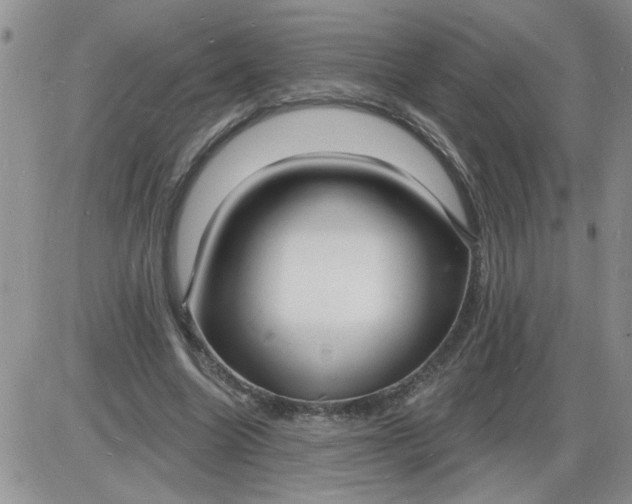X0000085280538200703231810