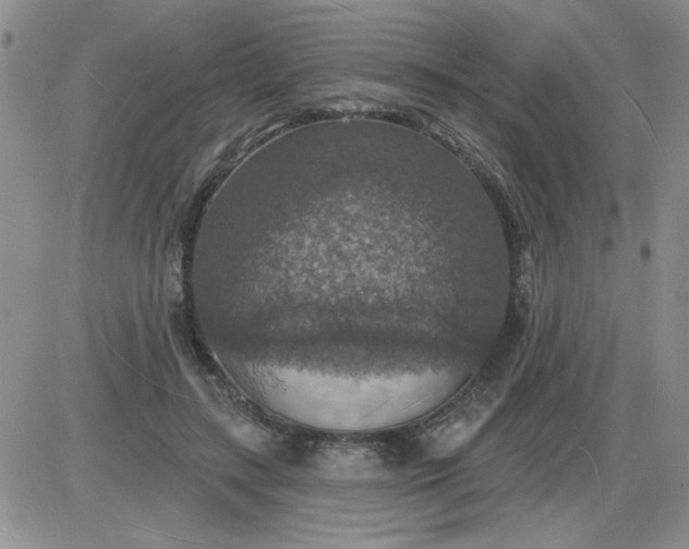 X0000085280547200703231810