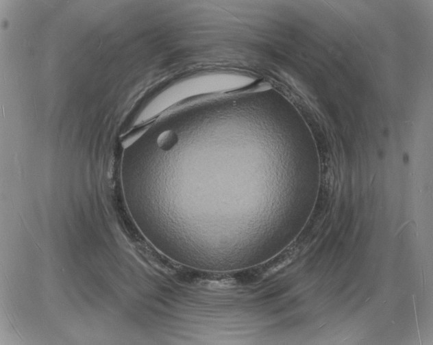 X0000085280548200703231810