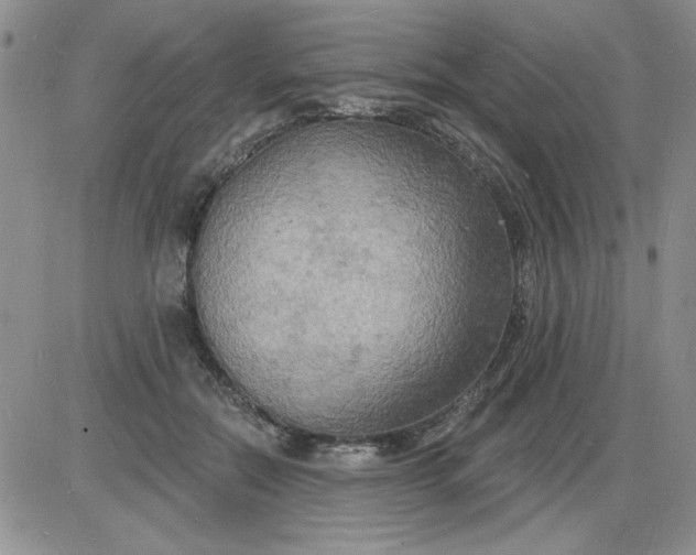 X0000085280554200703231810