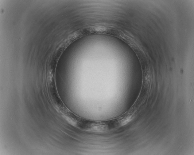 X0000085280555200703231810