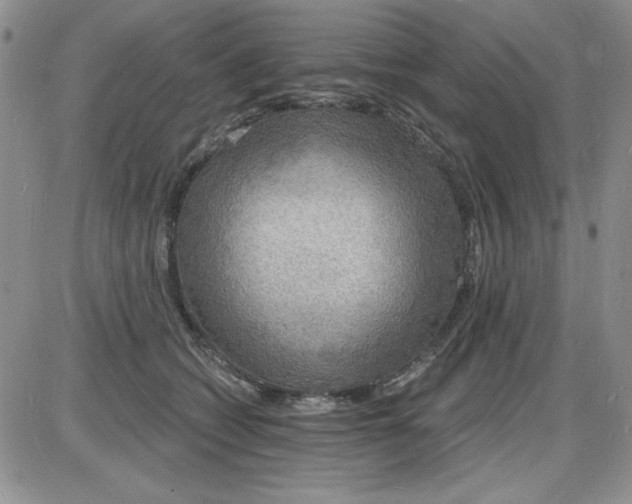 X0000085280562200703231810