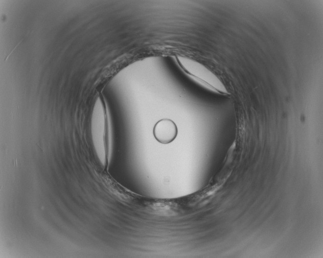 X0000085280566200703231810