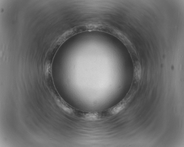 X0000085280574200703231810