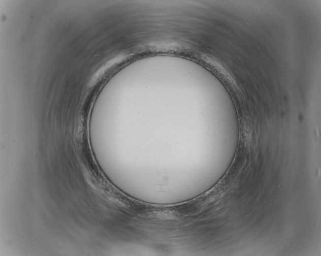 X0000085280583200703231809
