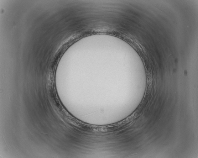 X0000085280591200703231809