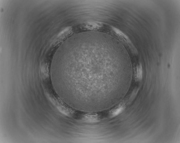 X0000085280606200703231809