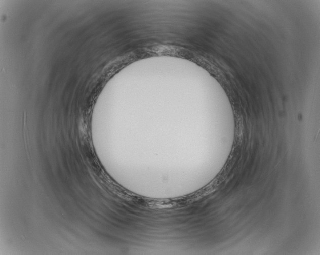 X0000085280607200703231809