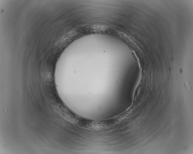 X0000085280608200703231809