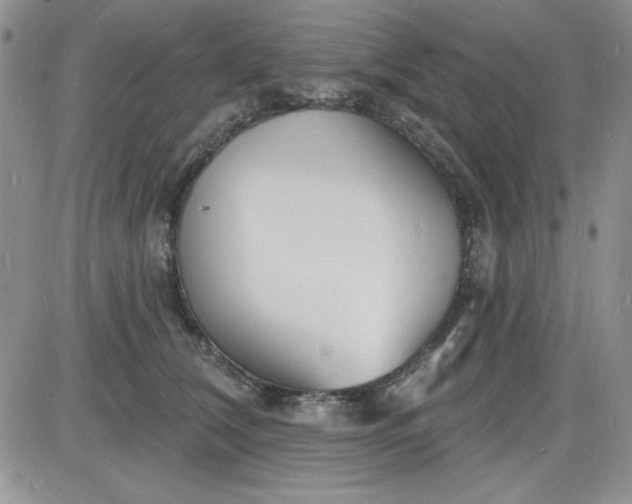 X0000085280612200703231809