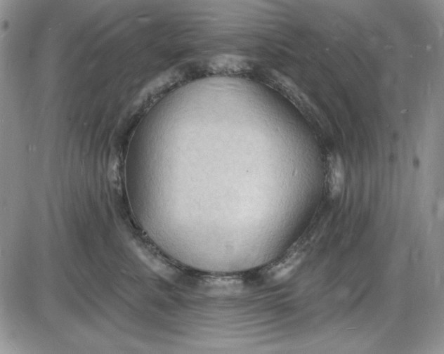 X0000085280619200703231809