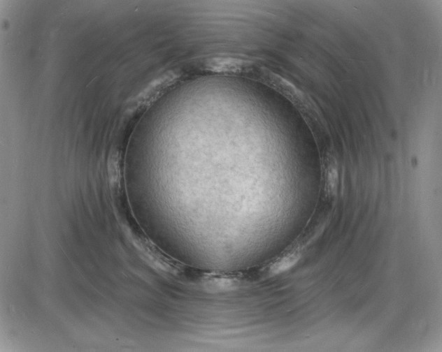 X0000085280620200703231809