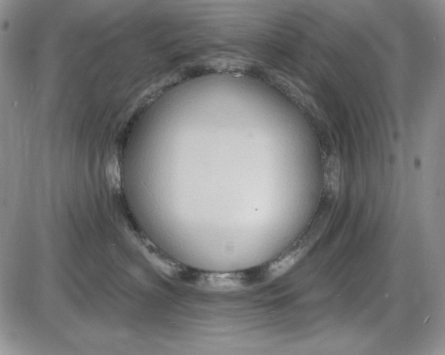 X0000085280622200703231809