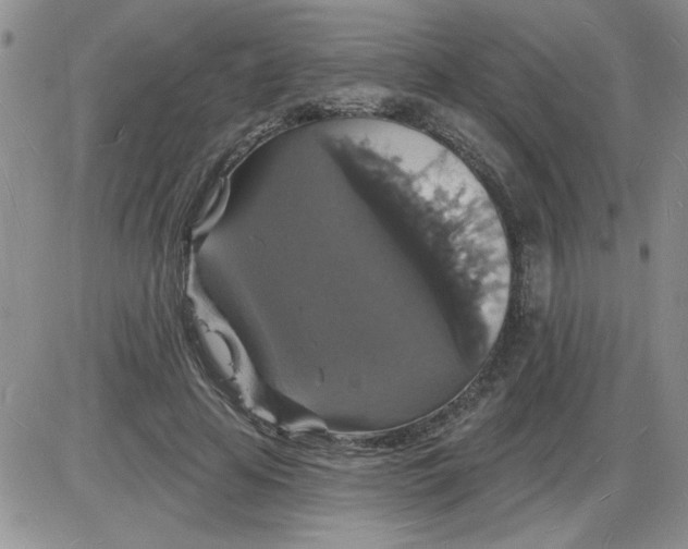 X0000085280641200703231808