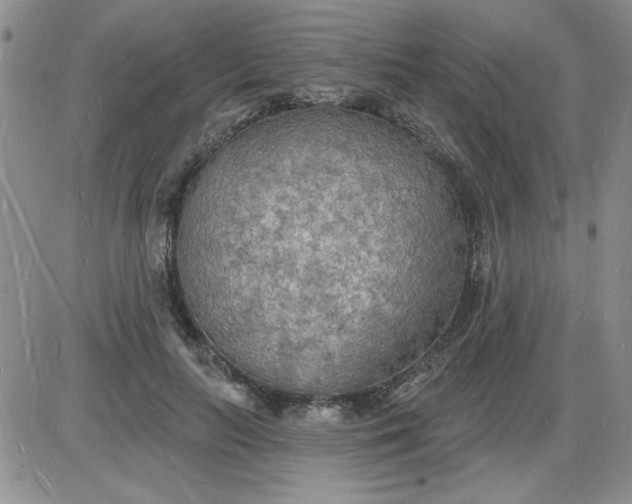 X0000085280647200703231808