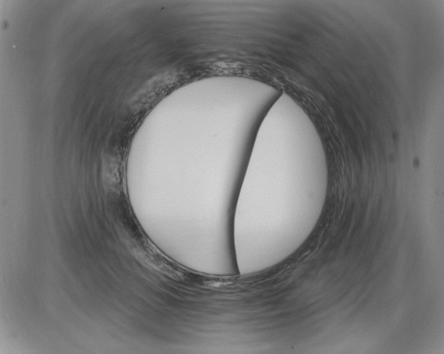 X0000085280654200703231808
