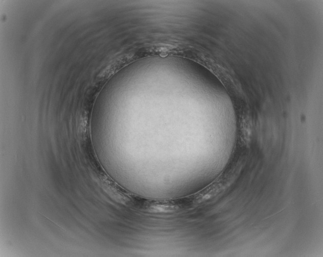 X0000085280657200703231808