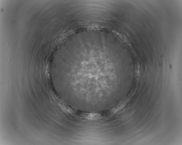 X0000085280663200703231808