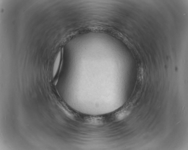 X0000085280664200703231808