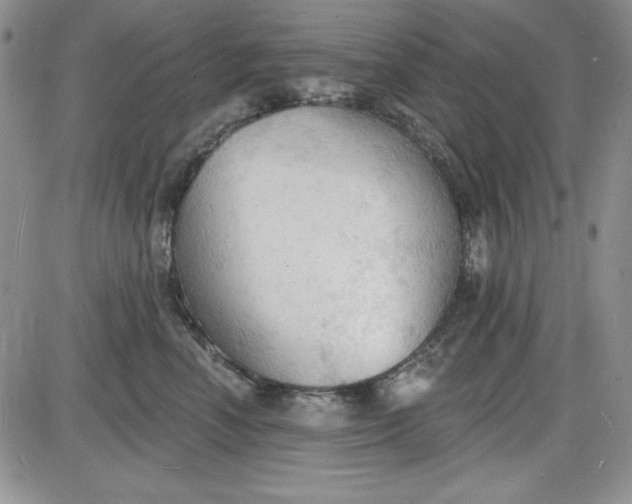 X0000085280666200703231808