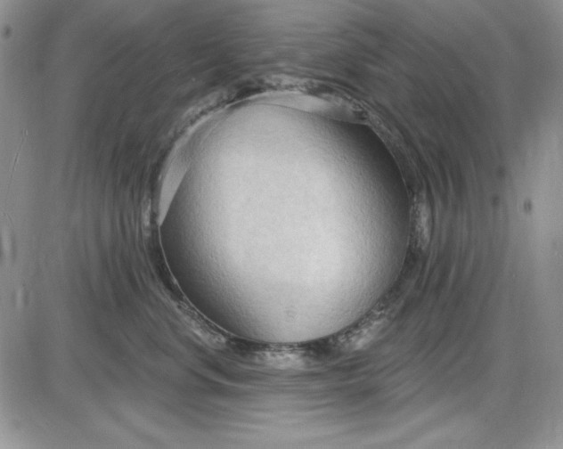 X0000085280668200703231808