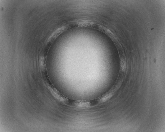 X0000085280670200703231809