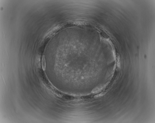 X0000085280696200703231807