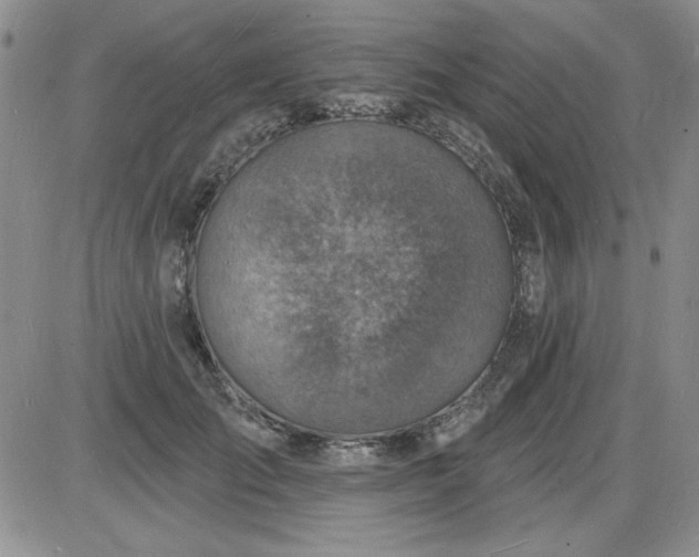 X0000085280701200703231807