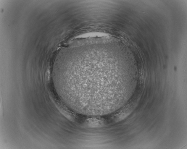 X0000085280703200703231807